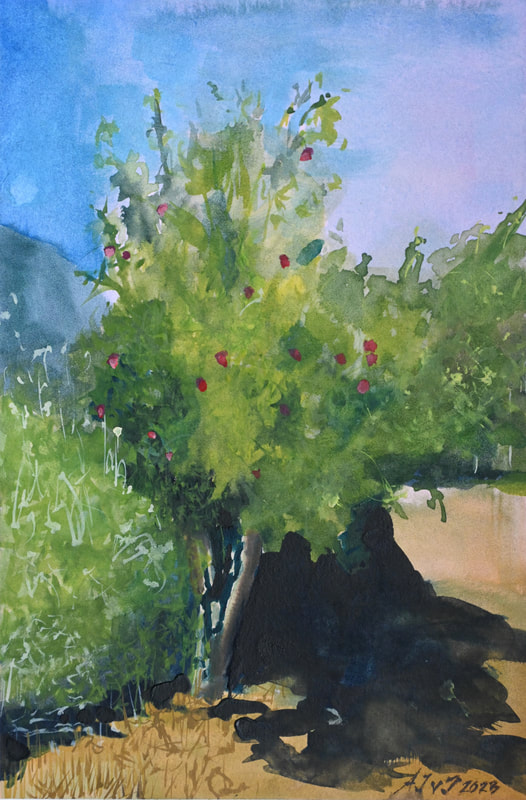 APPLE TREE gouache on paper 6 x 9 in